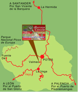 orujocamacho-mp